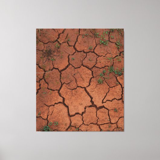乾いたひび割れた地面 キャンバスプリント (正面)