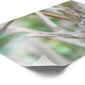 乾いた森 フォトプリント            (角)