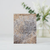 乾いた素朴タンブレッド ポストカード (スタンド正面)