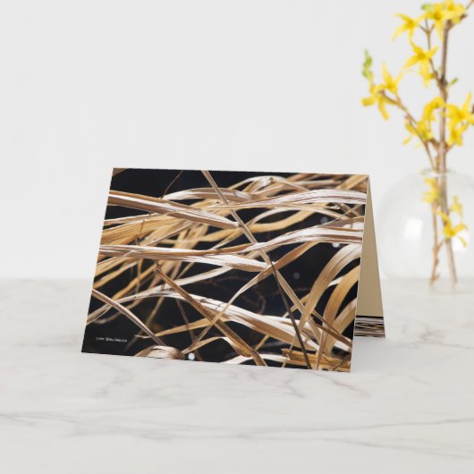 乾いた草 カード (黄色い花)