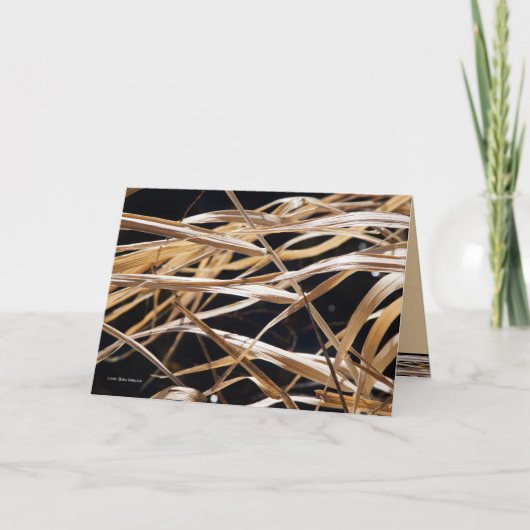 乾いた草 カード (正面)