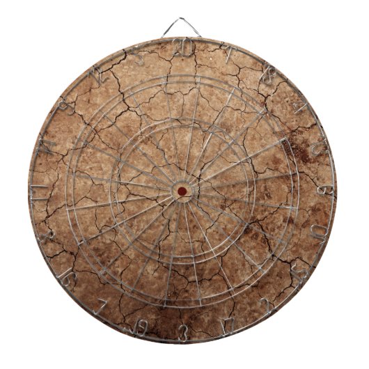 乾地 ダーツボード (正面)