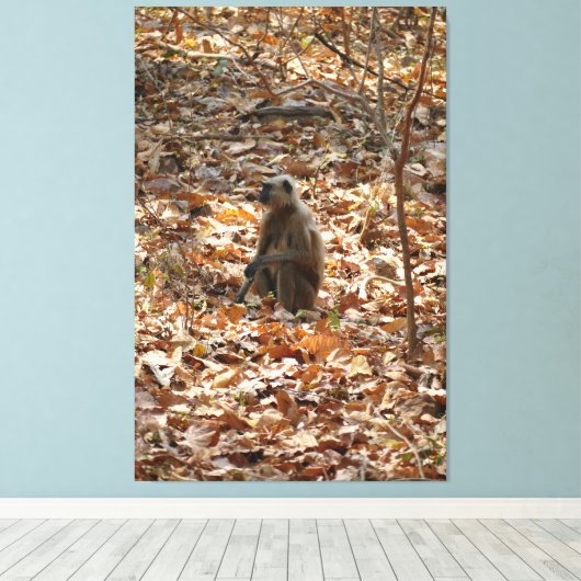 乾季のサル キャンバスプリント (インサイチュ (ウッドフロア))