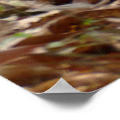 乾季のサル ポスター (角)