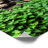 乾式石壁 ポスター (角)