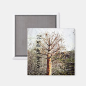 乾性フェラ植物 マグネット (正面/裏面)