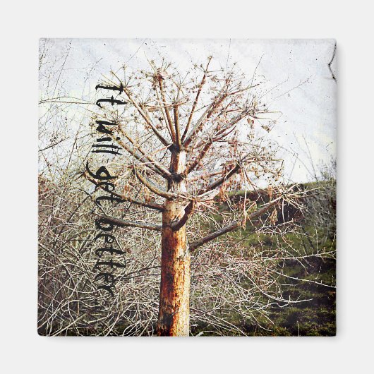 乾性フェラ植物 マグネット (正面)