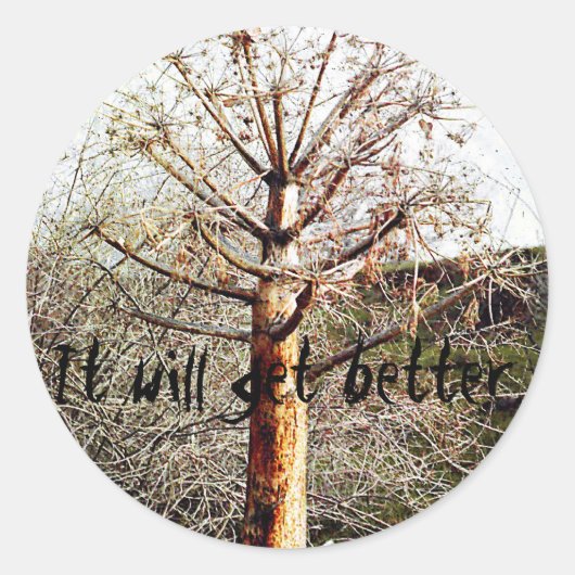 乾性フェラ植物 ラウンドシール (正面)