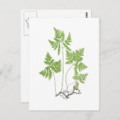 乾性多足目 ポストカード (正面/裏面)