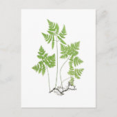 乾性多足目 ポストカード (正面)