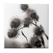 乾燥ごぼく タイル (正面)