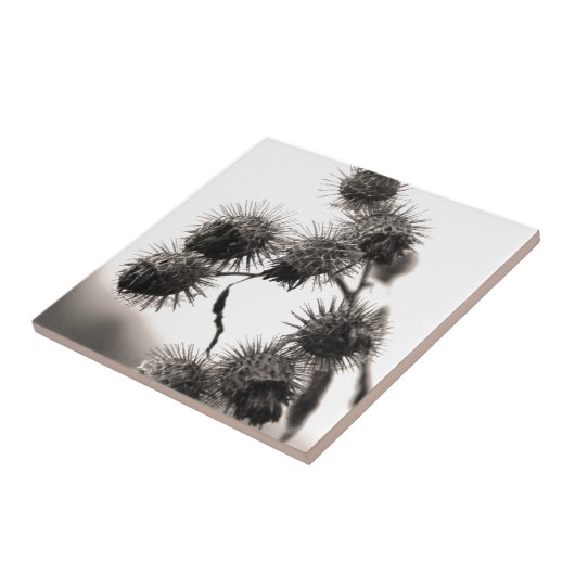 乾燥ごぼく タイル (側面)