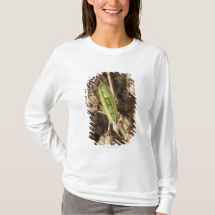 乾燥されたエンドウ豆の鞘の植物のグリーンピースのポッド Tシャツ