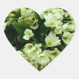 乾燥したのPrimrosesの美しいPrimmula vulgaris葉 Primroses ハートシール