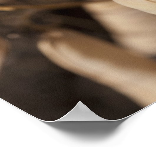 乾燥したエンドウ豆の莢の上の緑のエンドウ豆の莢 ポスター (角)