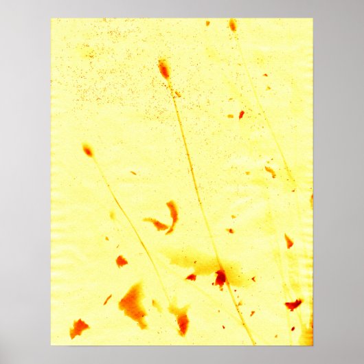 乾燥したケシの茎と種子サンプリントポスター ポスター (正面)