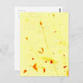 乾燥したケシの茎のサンプリント ポストカード (正面/裏面)