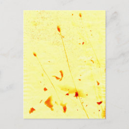 乾燥したケシの茎のサンプリント ポストカード