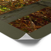 乾燥したトウモロコシの茎 ポスター (角)