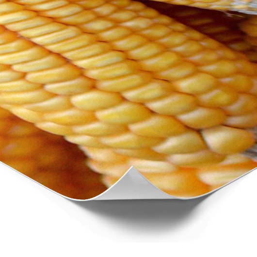 乾燥したトウモロコシを積み上げた。 ポスター (角)