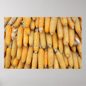 乾燥したトウモロコシを積み上げた。 ポスター (正面)