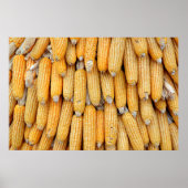 乾燥したトウモロコシを積み上げた。 ポスター (正面)