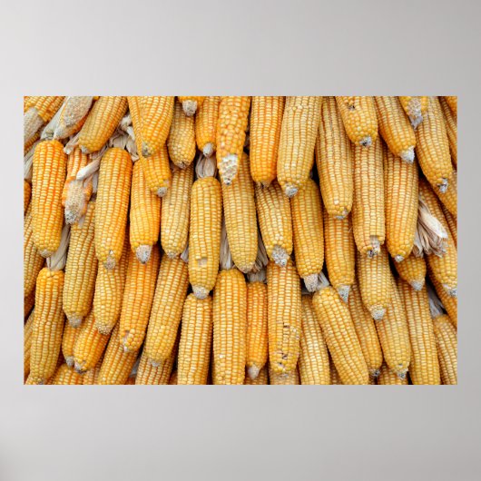 乾燥したトウモロコシを積み上げた。 ポスター (正面)