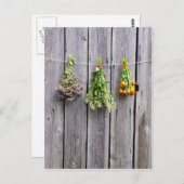 乾燥したハーブ木のヴィンテージ灰色の壁 ポストカード (正面/裏面)