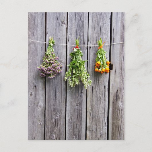 乾燥したハーブ木のヴィンテージ灰色の壁 ポストカード (正面)