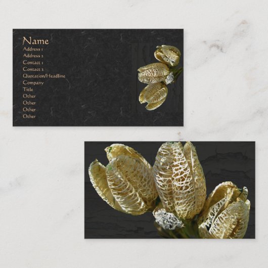 乾燥したユリの種子の莢 名刺 (正面/裏面)