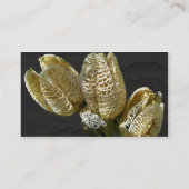 乾燥したユリの種子の莢 名刺 (裏面)