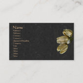 乾燥したユリの種子の莢 名刺 (正面)