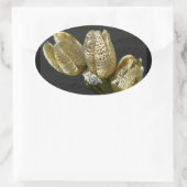 乾燥したユリの種子の莢 楕円形シール (バッグ)