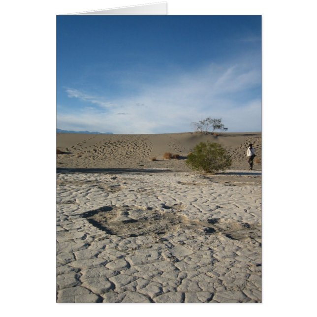 乾燥した地面 (正面)