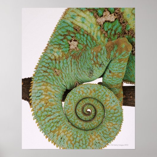 乾燥した山岳地帯に住んでいる。先住民 ポスター (正面)