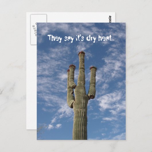 乾燥した暑さだと言われているけど ポストカード (正面/裏面)