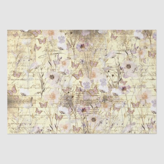 乾燥した野草蝶 薄葉紙 (正面)