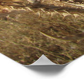 乾燥した風景の中のアザミ。 ポスター (角)