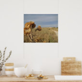 乾燥した風景の中のアザミ。 ポスター (キッチン)