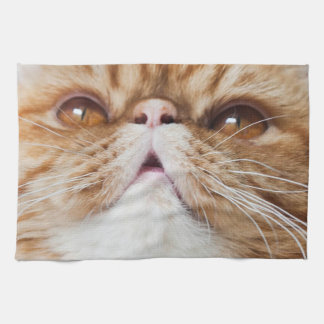 乾燥したDAの皿! キッチンタオル