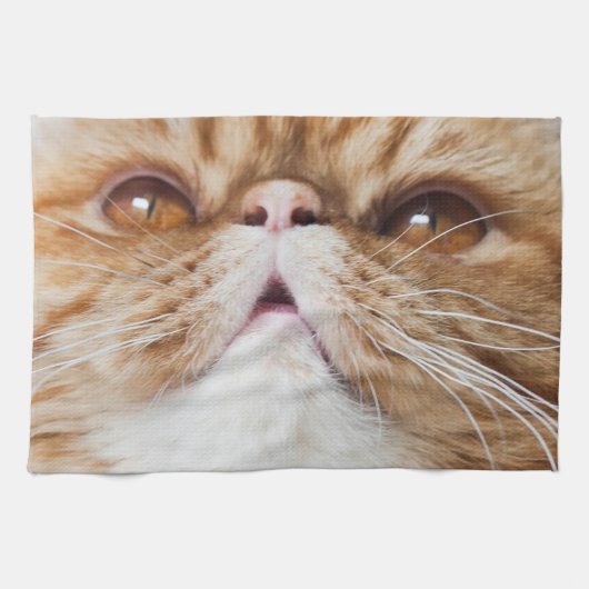 乾燥したDAの皿! キッチンタオル (横)