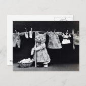 乾燥するべきヴィンテージ猫のぶら下がったな布 ポストカード (正面/裏面)