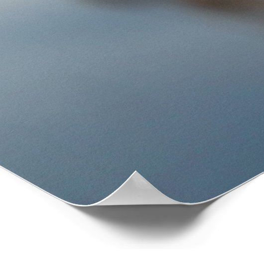 乾燥アザミ ポスター (角)