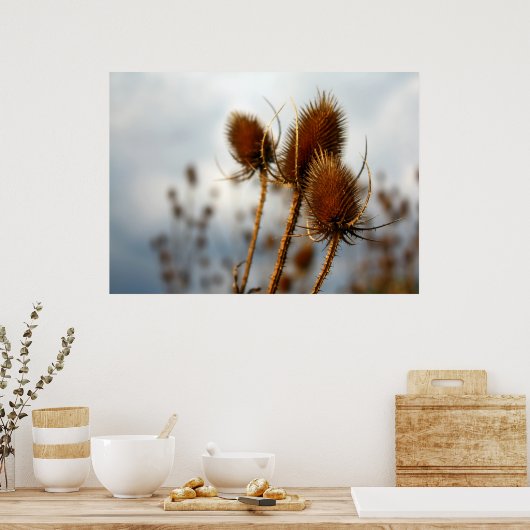 乾燥アザミ ポスター (キッチン)