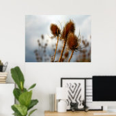 乾燥アザミ ポスター (ホームオフィス)