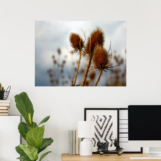 乾燥アザミ ポスター (ホームオフィス)