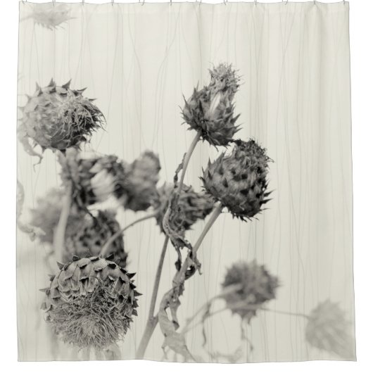 乾燥アーティチョークプラントソフトモノクロクリーム シャワーカーテン (正面)