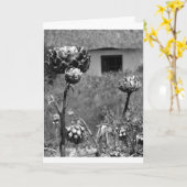 乾燥アーティチョーク花 カード (黄色い花)