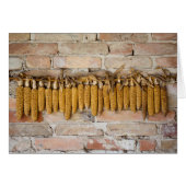 乾燥コーンコブス (正面横)