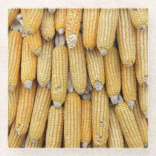 乾燥コーンスタック：テクスチャ ガラスコースター (正面)